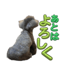 あくあ君日常使い（個別スタンプ：16）