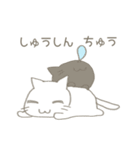 じとめねこのしろ（個別スタンプ：6）