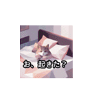 日常で使えるAI猫スタンプ（個別スタンプ：9）