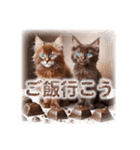 チョコまみれのバレンタインデー猫（個別スタンプ：2）