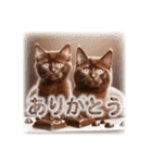 チョコまみれのバレンタインデー猫（個別スタンプ：6）