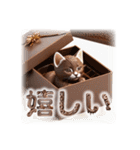 チョコまみれのバレンタインデー猫（個別スタンプ：30）