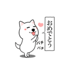 激しく尻尾をふる白犬❤LOVE❤（個別スタンプ：21）