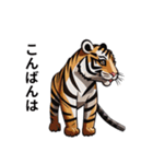 動物スタンプアラカルト（虎1）（個別スタンプ：12）