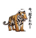 動物スタンプアラカルト（虎1）（個別スタンプ：27）