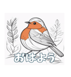 鳥の鉛筆線（個別スタンプ：1）