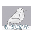 鳥の鉛筆線（個別スタンプ：6）