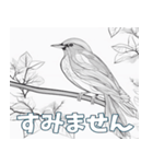 鳥の鉛筆線（個別スタンプ：9）