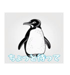 鳥の鉛筆線（個別スタンプ：12）