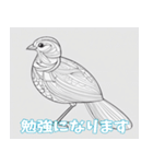 鳥の鉛筆線（個別スタンプ：31）