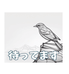 鳥の鉛筆線（個別スタンプ：37）