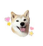 카와ii♥️（個別スタンプ：5）