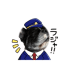 はんぺんさんちのブルちゃん3（個別スタンプ：1）