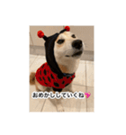 ゲンちゃんは今日も絶好調（個別スタンプ：5）