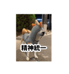 ゲンちゃんは今日も絶好調（個別スタンプ：6）