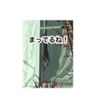 ゲンちゃんは今日も絶好調（個別スタンプ：7）