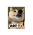 ゲンちゃんは今日も絶好調（個別スタンプ：9）