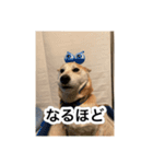 ゲンちゃんは今日も絶好調（個別スタンプ：10）