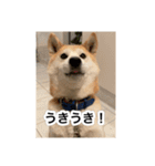 ゲンちゃんは今日も絶好調（個別スタンプ：13）