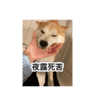 ゲンちゃんは今日も絶好調（個別スタンプ：16）