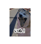 ゲンちゃんは今日も絶好調（個別スタンプ：18）