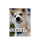 ゲンちゃんは今日も絶好調（個別スタンプ：19）