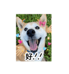 ゲンちゃんは今日も絶好調（個別スタンプ：20）