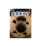 ゲンちゃんは今日も絶好調（個別スタンプ：24）