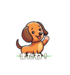 犬のスタンプ（ダックスフンド）（個別スタンプ：11）