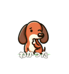 犬のスタンプ（ダックスフンド）（個別スタンプ：19）