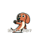 犬のスタンプ（ダックスフンド）（個別スタンプ：29）