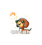 犬のスタンプ（ダックスフンド）（個別スタンプ：31）