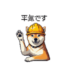 ドット絵 柴犬 災害時に（個別スタンプ：2）