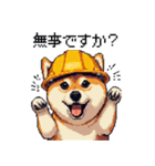 ドット絵 柴犬 災害時に（個別スタンプ：3）