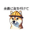 ドット絵 柴犬 災害時に（個別スタンプ：4）