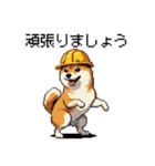 ドット絵 柴犬 災害時に（個別スタンプ：7）