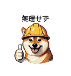 ドット絵 柴犬 災害時に（個別スタンプ：8）