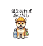 ドット絵 柴犬 災害時に（個別スタンプ：11）