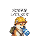 ドット絵 柴犬 災害時に（個別スタンプ：12）