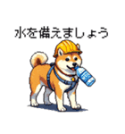 ドット絵 柴犬 災害時に（個別スタンプ：13）