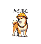 ドット絵 柴犬 災害時に（個別スタンプ：15）