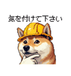 ドット絵 柴犬 災害時に（個別スタンプ：16）