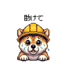 ドット絵 柴犬 災害時に（個別スタンプ：19）