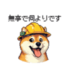 ドット絵 柴犬 災害時に（個別スタンプ：22）