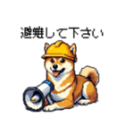 ドット絵 柴犬 災害時に（個別スタンプ：23）