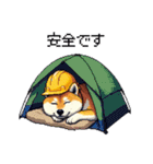 ドット絵 柴犬 災害時に（個別スタンプ：29）