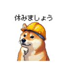 ドット絵 柴犬 災害時に（個別スタンプ：31）