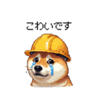 ドット絵 柴犬 災害時に（個別スタンプ：36）