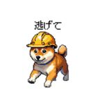 ドット絵 柴犬 災害時に（個別スタンプ：38）