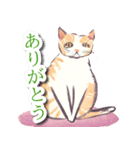 水彩画ねこ（個別スタンプ：5）